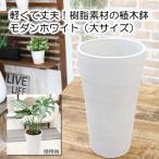 �y���ď�v�� �����f�� ���i��T�C�Y�j�A�ؔ� ���|�b�g���� ���O �ϗt�A�� ��