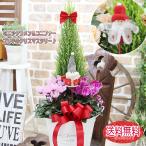  Рождество подарок по случаю конца года блестящий весна до .. Mini цикламен персидский. елка круг жестяная пластина. .... объем модель цветочный горшок растение в горшке день рождения цикламен персидский 