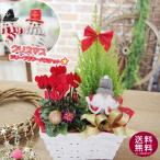 クリスマスツリークリスマスお歳暮ホ...