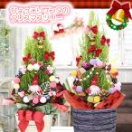 クリスマス お歳暮 クリスマスツリー ひょっこりサンタさんのサンタリース付のツリー 鉢植え 送料無料 ギフト