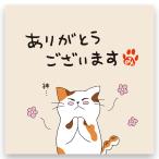 みたらしちゃん　緑茶