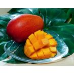 『みやざき完熟マンゴー』宮崎県産 2L（350〜449g）×2玉　※常温 送料無料