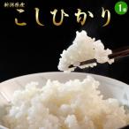 《送料無料》新潟県産