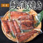 うなぎ ウナギ 鰻 サイズまちまち 国産 鰻蒲焼き 500ｇ(5枚〜9枚) タレ・山椒付き ※冷凍 送料無料