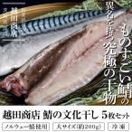 さば 鯖 サバ 越田商店 鯖の文化干し ノルウェー鯖使用 大サイズ 約200g 5枚セット 干物 文化干し 冷凍同梱可能 送料無料