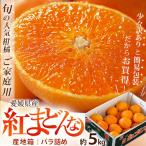 愛媛県産 紅まどんな バラ詰め 約5kg 目安20〜45玉 M〜4Lサイズ 産地箱 ※常温 送料無料