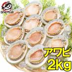 アワビ あわび Lサイズ 2kg 合計24個 1箱12個入り(殻つきお刺身用アワビ 翡翠の瞳)