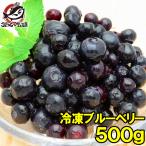 ブルーベリー 冷凍ブルーベリー 500g×1パック 冷凍フルーツ ヨナナス