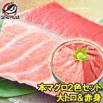 (マグロ まぐろ 鮪) 本まぐろ 大トロ 200g＆赤身200gセット (本マグロ 本鮪 刺身) 単品おせち 海鮮おせち