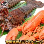  Исэ город море .&amp; лобстер комплект местного производства Исэ город море .230~250g передний и задний (до и после) лобстер рефрижератор масса 270g передний и задний (до и после) 