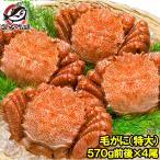 毛ガニ 毛がに 毛蟹 浜茹で 特大 毛ガニ姿 平均 570g ×4尾 合計 約 2kg セット かに カニ 蟹 かに鍋 焼きガニ 単品おせち 海鮮おせち