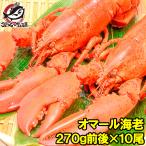 オマール海老 ロブスター 10尾 BBQ バーベキュー クリスマス えび 海老 エビ
