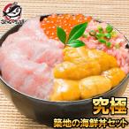 ショッピングカニ福袋 築地の海鮮丼セット（究極・約２杯分）本マグロ大トロ特盛り２００ｇ＆無添加生うに＆北海道産イクラ＆王様のネギトロ。