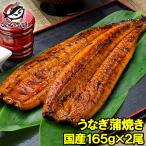 ショッピングうなぎ 父の日 国産 うなぎ蒲焼き 大サイズ 平均165g前後×2尾 うなぎ ウナギ 鰻 蒲焼き