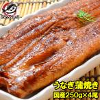 超特大 国産うなぎ蒲焼き 平均250g前後×4尾 タレ付き (国産 うなぎ ウナギ 鰻)