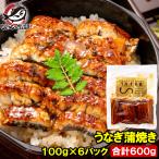 ショッピング父の日 うなぎ うなぎ蒲焼き 100g ×6パック 合計600g うなぎ 鰻 ウナギ 土用の丑 うな丼 うな重 ひつまぶし カット済み 個包装 食べきりサイズ ギフト 豊洲市場