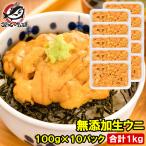 ショッピングナショナル 生ウニ 生うに 冷凍 無添加 天然 1kg 100g×10パック(ウニ うに 雲丹) 単品おせち 海鮮おせち