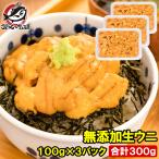 生ウニ 生うに 冷凍 無添加 天然 300g