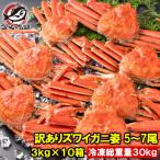 訳あり ズワイガニ 姿 合計30kg前後 50〜70尾 3kg×10箱 冷凍ゆでがに 本ズワイガニ ボイル冷凍 ズワイ蟹 ずわいがに かに カニ 蟹 ずわい蟹 豊洲市場