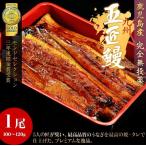 うなぎ ウナギ 蒲焼 カバ焼 鹿児島県 山田水産 鰻師の五匠鰻 ギフト 母の日 父の日 丑の日 贈り物 1尾:100〜120g 冷凍 送料無料