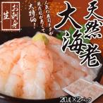 【今ならまとめ買いで増量!】えび エビ お刺身 天然大海老 見た目が悪くて大特価! 20尾×2パック (合計600g以上) 冷凍 送料無料 【2セット購入で増量中!】