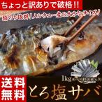 ≪送料無料≫ちょいキズ　ノルウェー産　とろ塩サバ　1kg(6枚〜10枚前後)　※冷凍　sea☆