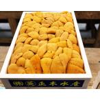 『エゾバフンウニ』弁当箱/バラA品 約250g ロシア北方四島産 ※冷蔵【豊洲市場直送】y 送料無料