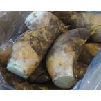 [ карта * наложенный платеж ограничение ][ побеги бамбука ] большой размер примерно 1.8kg 2 шт Kyushu производство . имеется * рефрижератор бесплатная доставка 