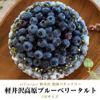 atTerrace 軽井沢ガーデンファーム 『軽井沢高原ブルーベリータルト』 1個 5号サイズ ※冷凍 送料無料