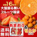 《送料無料》『16周年 大盤振る舞いフルーツ福袋』　あまおういちご　福岡県産　約270g×2パック、池本ゆたか農園　せとか　愛媛県・興居島産　約2kg frt ☆