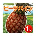  Okinawa производство [pi-chi сосна 1 шар ] примерно 600g