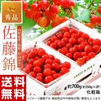 さくらんぼ 佐藤錦 山形県産 約700g (約350g×2P) 秀品 送料無料 ギフト 化粧箱 産地直送 お中元 御中元 サクランボ ※6月中旬〜7月上旬お届け