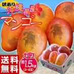 『訳あり沖縄マンゴー』沖縄県産 マンゴー 約1.5kg（3〜6玉）産地箱入 ※常温 送料無料