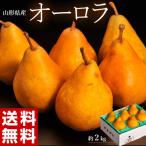 西洋梨 『オーロラ』 山形県産 秀品 約2kg 6〜10玉 簡易箱 ※常温 送料無料