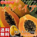 { бесплатная доставка } Miyazaki префектура производство [pa пирог a]( Sunrise Solo вид ) превосходящий товар * примерно 2kg(3~4 шар ) * обычная температура frt 0