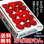 Yahoo! Yahoo!ショッピング(ヤフー ショッピング)いちご イチゴ 苺 群馬県産 JA利根沼田　おぜあかりん （12〜15粒） 約500g　送料無料　※冷蔵