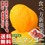 マンゴー 宮崎県産 ミニマンゴー S〜2Sサイズ 約400g 1パック（目安として3〜8玉） 常温 送料無料