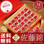 遅れてごめんね母の日ギフト　温室さくらんぼ・佐藤錦　山形県産　Mサイズ　24粒　産直・送料無料　※カーネーション・メッセージカード付き