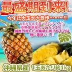  Okinawa префектура производство камень . ананас 1 шар на примерно 1kg×1 шар frt 0