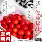 Yahoo! Yahoo!ショッピング(ヤフー ショッピング)さくらんぼ 佐藤錦 夢 群馬県月夜野産 かご盛り 秀品 2Lサイズ以上 約400g ※冷蔵 送料無料