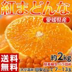 送料無料 柑橘 愛媛県産 「紅まどんな」 簡易梱包 バラ詰め 約2kg (目安として7〜13玉)