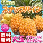  бесплатная доставка Okinawa префектура производство очень большой снэки сосна большой шар примерно 1kg×3 шар 