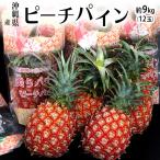 [pi-chi сосна ] Okinawa префектура производство сосна Apple примерно 9kg (12 шар ввод ) * рефрижератор бесплатная доставка 