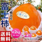 『訳あり富士柿』 愛媛県産 約4kg(約2kg×2箱)1箱4〜6玉 ※常温 送料無料