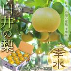 『白井の幸水梨』千葉県産 1箱 約2.5kg 7〜10玉　化粧箱 ※冷蔵