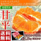 甘平 柑橘 愛媛産 大玉限定『甘平』　約2.5キロ　4L　8玉　化粧箱入り　送料無料