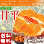 ショッピング甘平 《送料無料》愛媛県産 『甘平(かんぺい)』 バラ詰め 2.2kg以上　L〜5Ｌサイズ ※常温 frt 〇