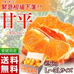 ショッピング甘平 《送料無料》愛媛県産 大玉『甘平(かんぺい)』 バラ詰め 約5kg 3Ｌサイズ ※常温 frt ☆