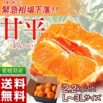 ショッピング甘平 《送料無料》愛媛県産 大玉『甘平(かんぺい)』 バラ詰め 2.2kg以上 3Ｌサイズ ※常温　frt ☆