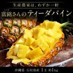  Okinawa префектура Ishigakijima производство ..(...) san. [ Tiida сосна ]1 шар примерно 1kg *